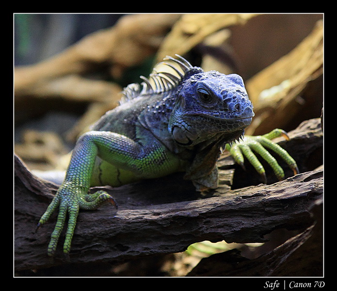 2012 - 06 - Dubai - 162